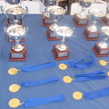 Tercer Torneo de Ajedrez Liceo Manuel de Salas